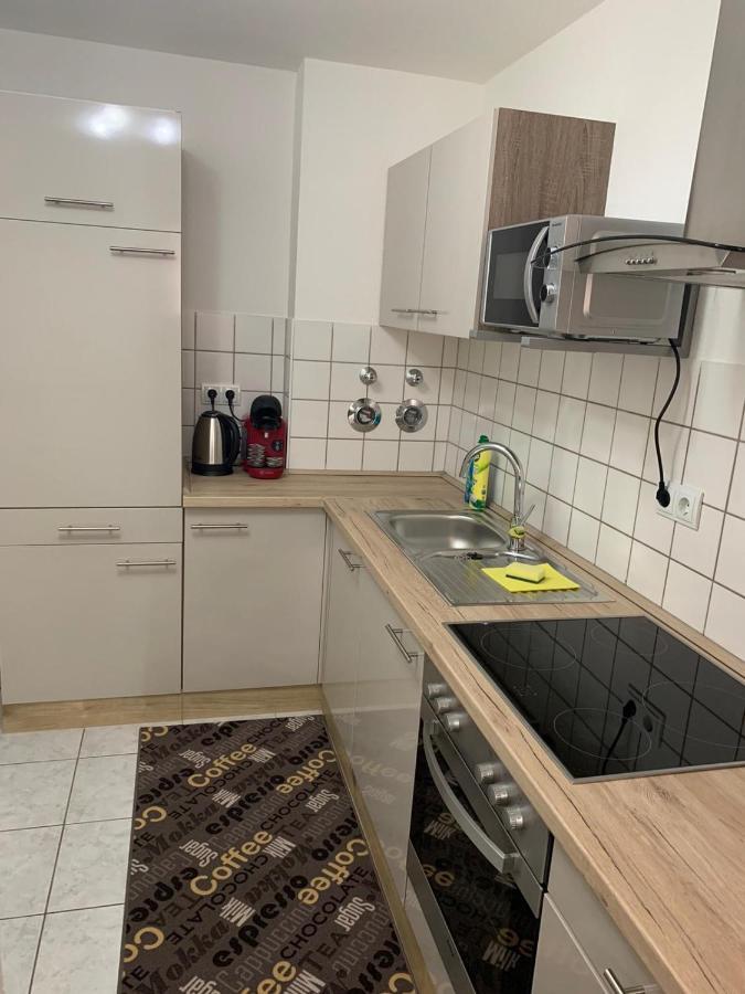 Apartment Saxonia Pirna Buitenkant foto