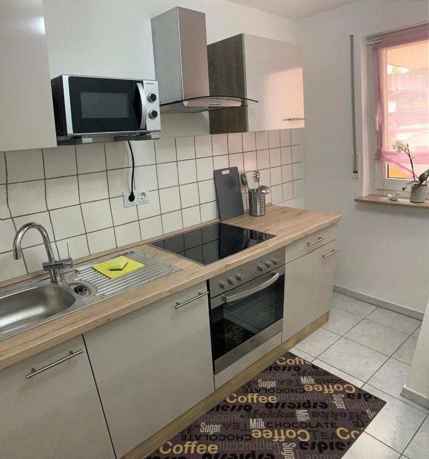 Apartment Saxonia Pirna Buitenkant foto