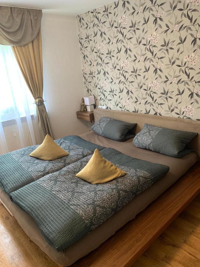 Apartment Saxonia Pirna Buitenkant foto