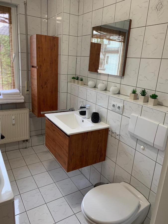 Apartment Saxonia Pirna Buitenkant foto